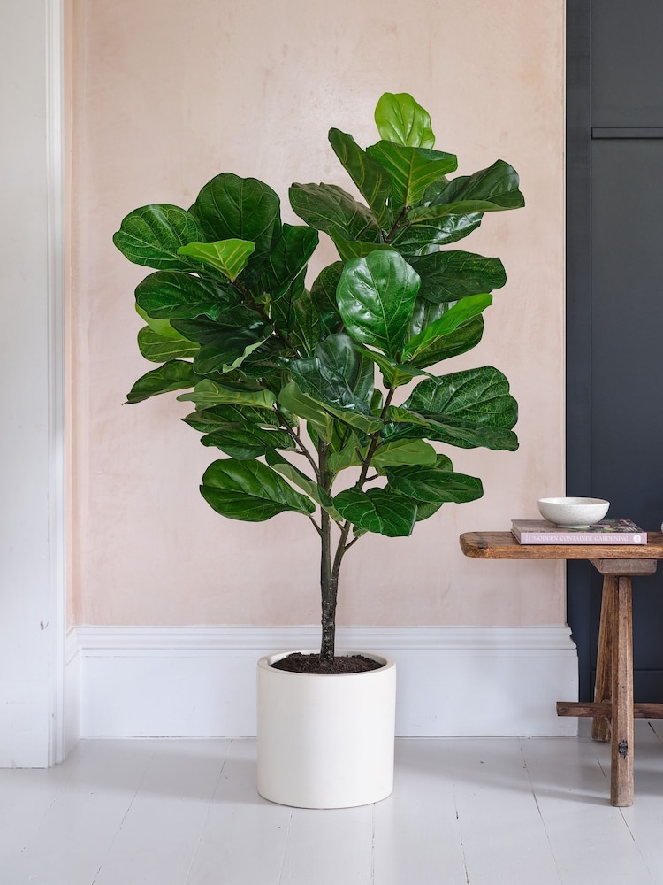 Beards & Daisies Green Artificial Fiddle Leaf Fig Tree - Image 1 of 4