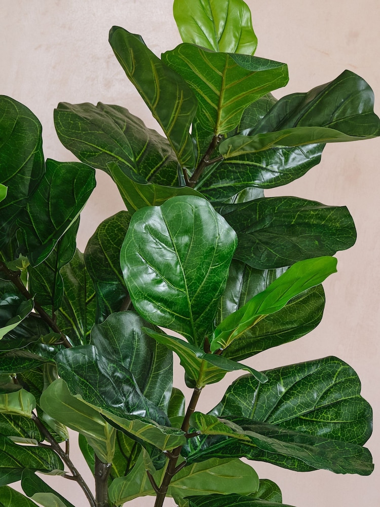 Beards & Daisies Green Artificial Fiddle Leaf Fig Tree - Image 4 of 4