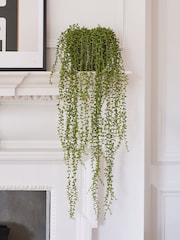 Beards & Daisies Green Artificial String Of Pearls - Image 1 of 3