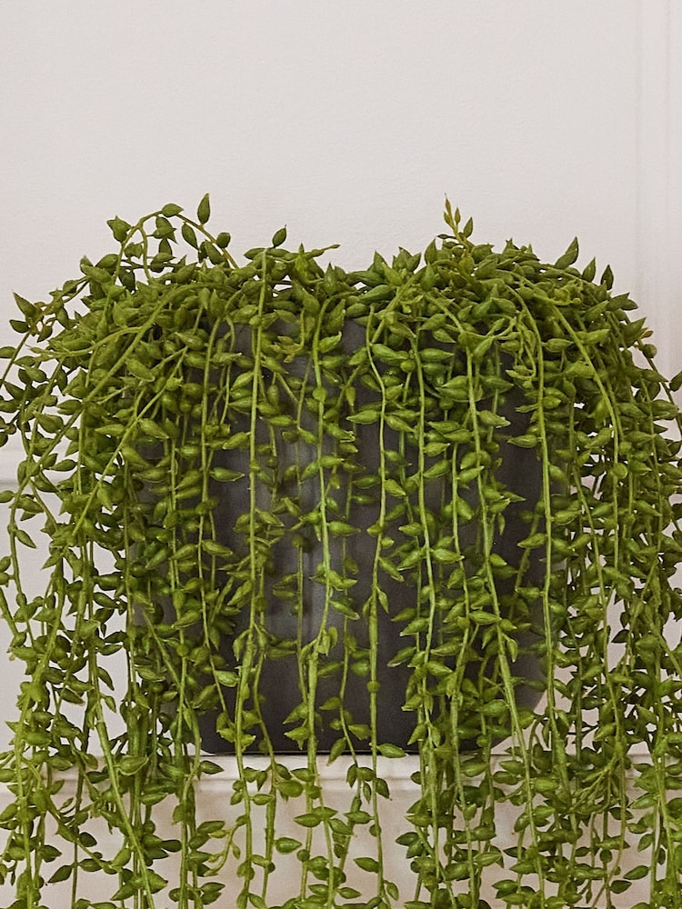 Beards & Daisies Green Artificial String Of Pearls - Image 2 of 3