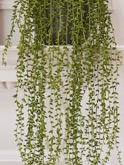 Beards & Daisies Green Artificial String Of Pearls - Image 3 of 3