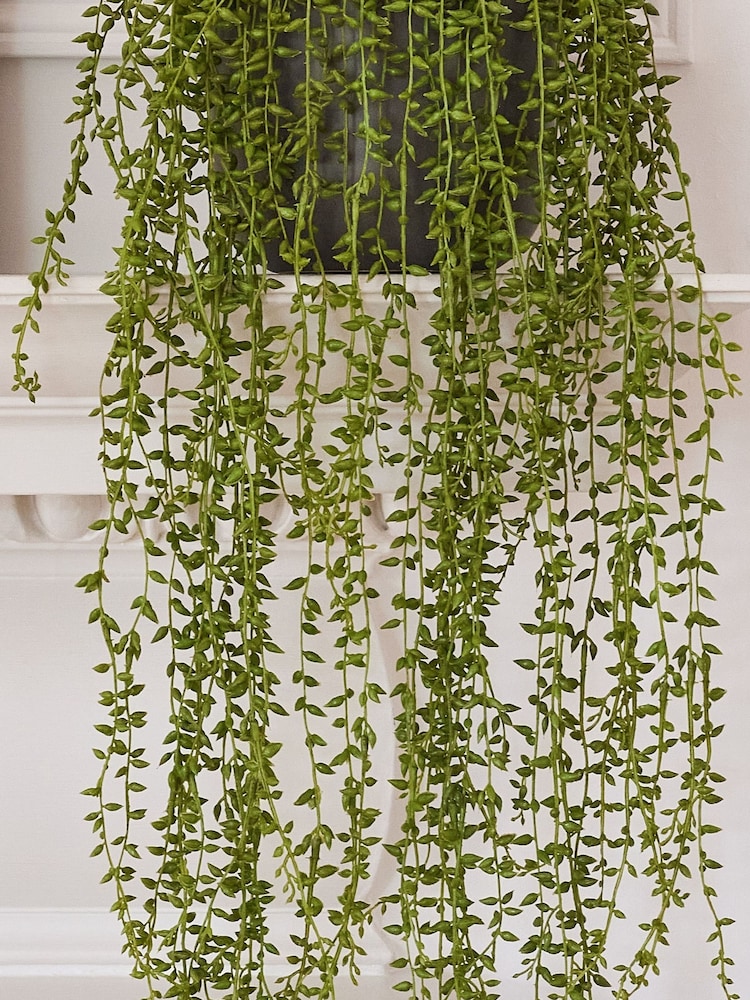 Beards & Daisies Green Artificial String Of Pearls - Image 3 of 3