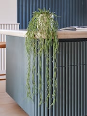 Beards & Daisies Green Artificial Hoya Linearis - Image 1 of 3