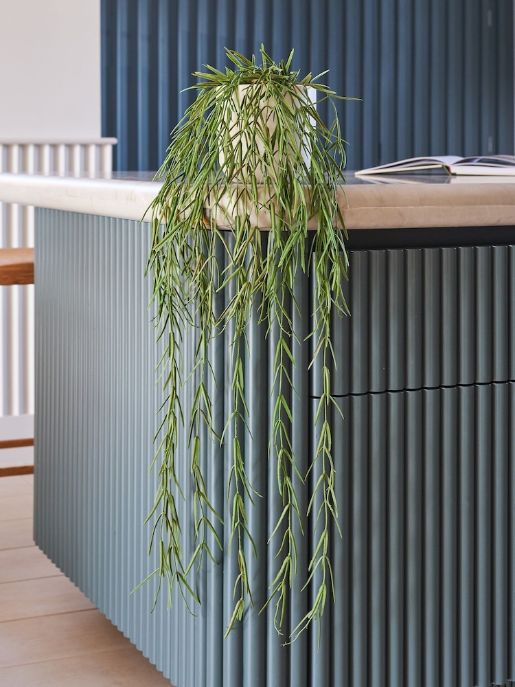 Beards & Daisies Green Artificial Hoya Linearis - Image 1 of 3