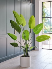 Beards & Daisies Green Artificial Bird of Paradise Plant - Image 1 of 4