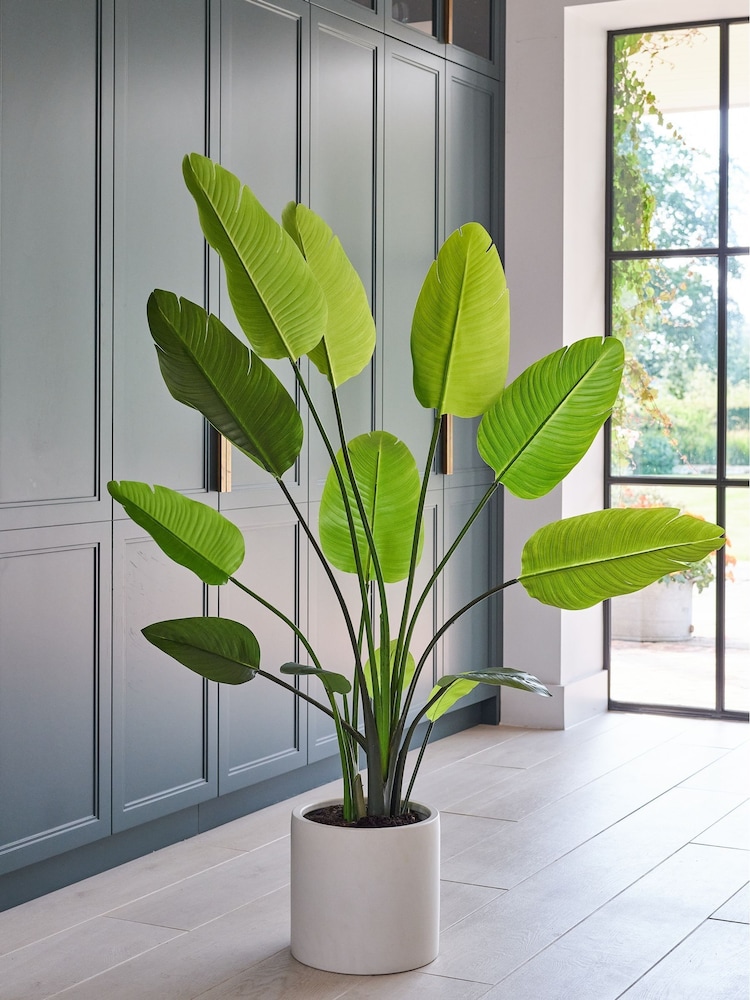 Beards & Daisies Green Artificial Bird of Paradise Plant - Image 1 of 4