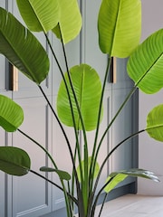 Beards & Daisies Green Artificial Bird of Paradise Plant - Image 2 of 4