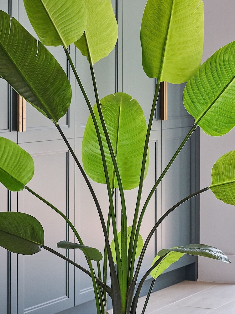 Beards & Daisies Green Artificial Bird of Paradise Plant - Image 2 of 4