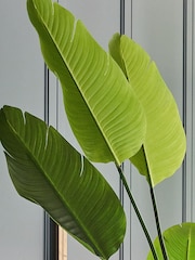 Beards & Daisies Green Artificial Bird of Paradise Plant - Image 3 of 4