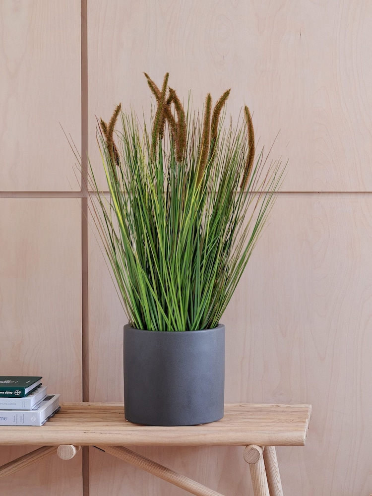 Beards & Daisies Green Artificial Pennisestum Grass Plant - Image 1 of 3