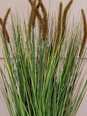 Beards & Daisies Green Artificial Pennisestum Grass Plant - Image 2 of 3
