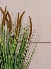 Beards & Daisies Green Artificial Pennisestum Grass Plant - Image 3 of 3