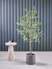 Beards & Daisies Green Artificial Olive Tree - Image 1 of 3