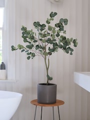 Beards & Daisies Green Artificial Eucalyptus Tree - Image 1 of 3