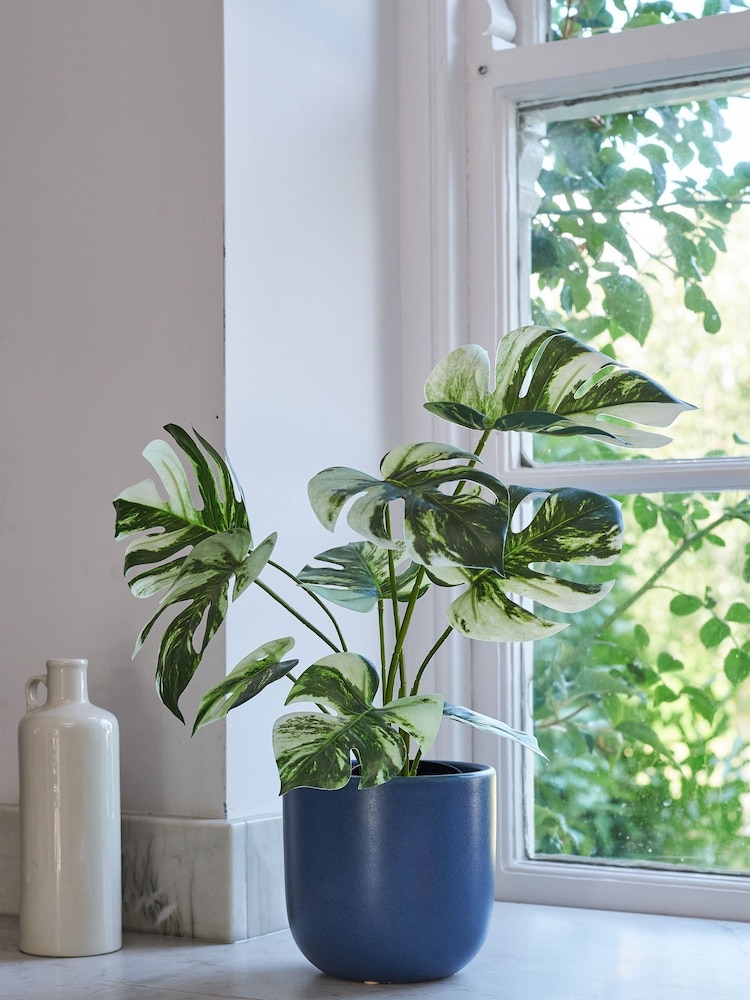 Beards & Daisies Green Artificial Variaged Monstera - Image 1 of 3 Beards & Daisies Green Artificial Variaged Monstera - Image 1 of 3