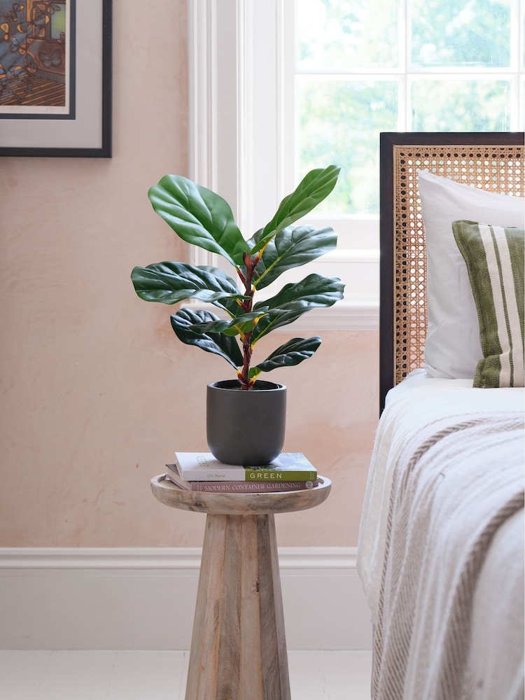 Beards & Daisies Green Artificial Fiddle Leaf Fig Plant - Image 1 of 3