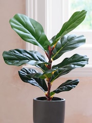 Beards & Daisies Green Artificial Fiddle Leaf Fig Plant - Image 2 of 3