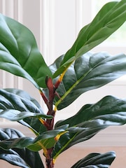 Beards & Daisies Green Artificial Fiddle Leaf Fig Plant - Image 3 of 3