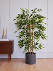 Beards & Daisies Green Artificial Bamboo Viscose Tree - Image 1 of 3