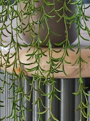 Beards & Daisies Green Artificial String Of Dolphins - Image 3 of 3