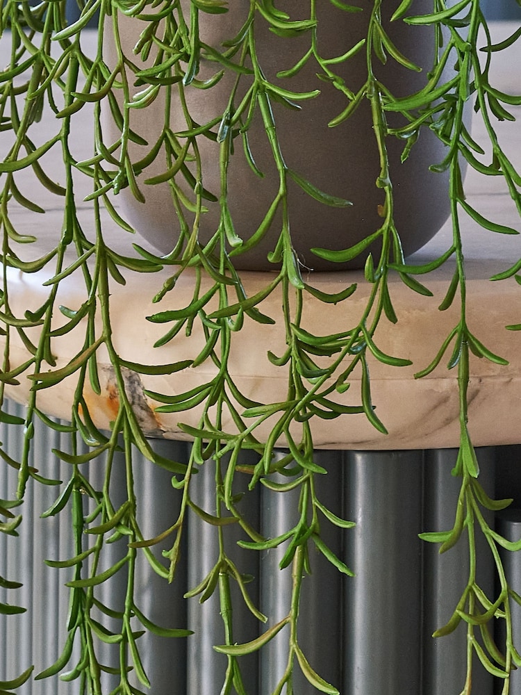 Beards & Daisies Green Artificial String Of Dolphins - Image 3 of 3
