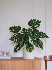 Beards & Daisies Green Artificial Swiss Cheese Plant - Image 1 of 4