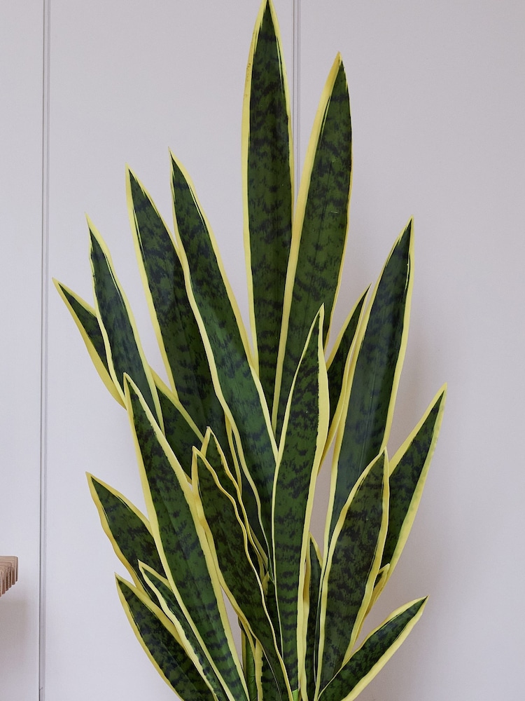 Beards & Daisies Green Artificial Snake Plant - Image 2 of 3