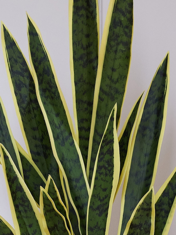 Beards & Daisies Green Artificial Snake Plant - Image 3 of 3