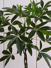 Beards & Daisies Green Artificial Money Tree - Image 2 of 3