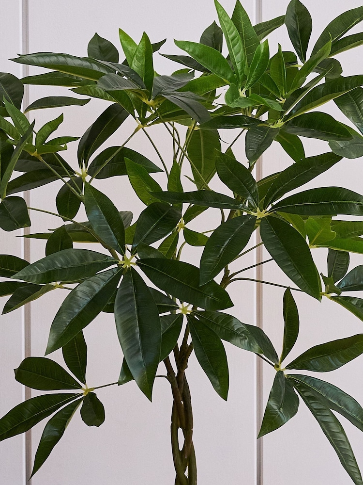 Beards & Daisies Green Artificial Money Tree - Image 2 of 3