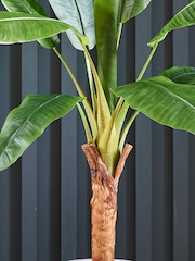 Beards & Daisies Green Artificial Banana Tree - Image 2 of 3