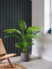 Beards & Daisies Green Artificial Parlour Palm - Image 1 of 3