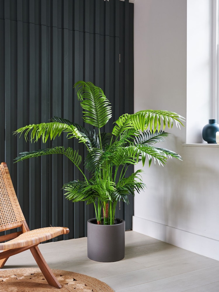Beards & Daisies Green Artificial Parlour Palm - Image 1 of 3