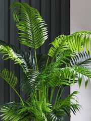 Beards & Daisies Green Artificial Parlour Palm - Image 3 of 3