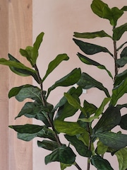 Beards & Daisies Green Artificial Fiddle Leaf Fig Tree - Image 3 of 3