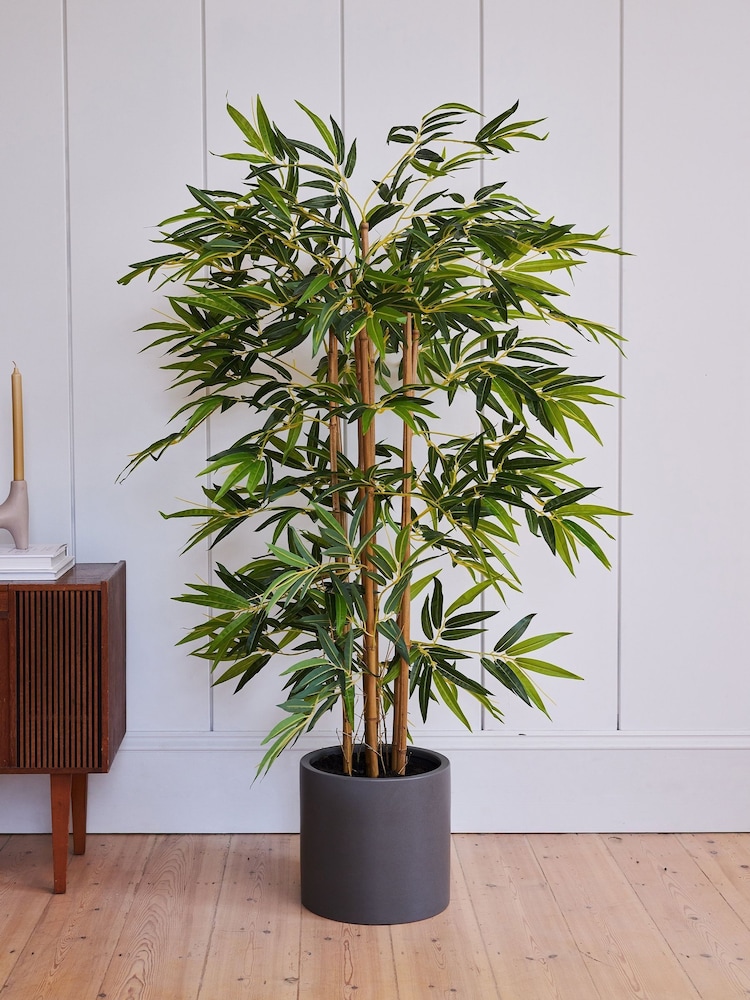Beards & Daisies Green Artificial Bamboo Tree - Image 1 of 3