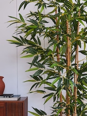 Beards & Daisies Green Artificial Bamboo Tree - Image 2 of 3