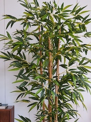 Beards & Daisies Green Artificial Bamboo Tree - Image 3 of 3