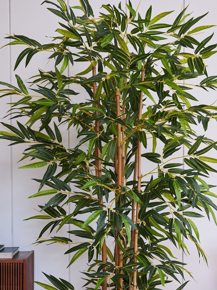 Beards & Daisies Green Artificial Bamboo Tree - Image 3 of 3