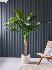 Beards & Daisies Green Artificial Banana Tree - Image 1 of 3