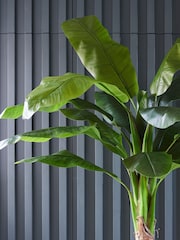 Beards & Daisies Green Artificial Banana Tree - Image 2 of 3