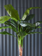 Beards & Daisies Green Artificial Banana Tree - Image 3 of 3