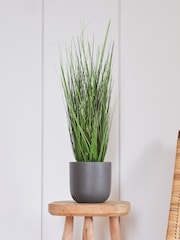 Beards & Daisies Green Artificial Grass Bush - Image 1 of 3