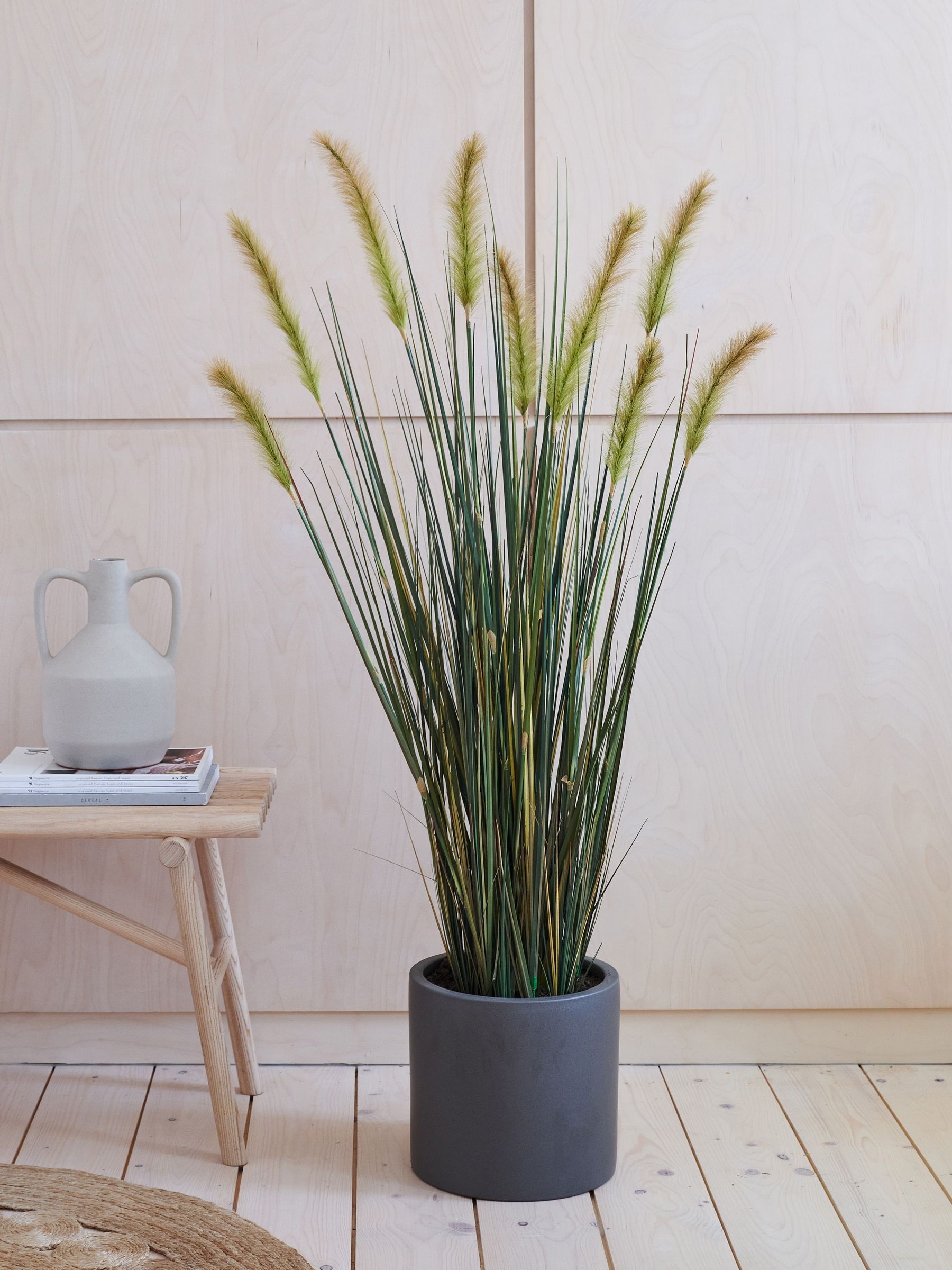 Buy Beards & Daisies Green Artificial Foxtail Grass from the Next