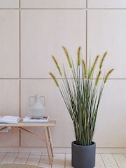 Beards & Daisies Green Artificial Foxtail Grass - Image 1 of 3