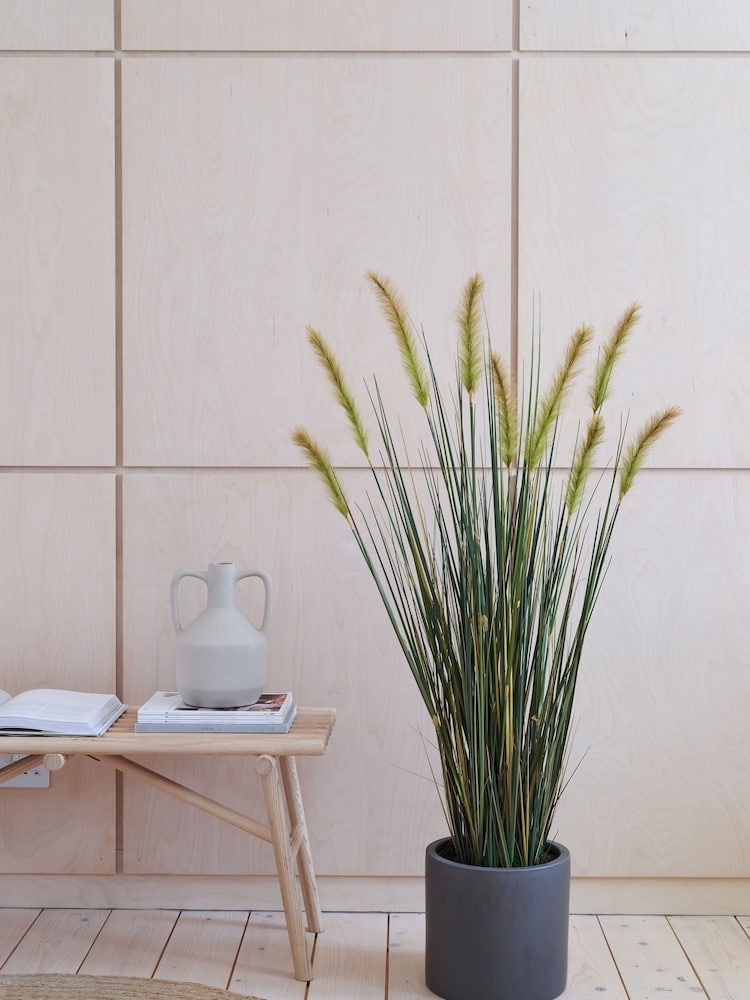 Beards & Daisies Green Artificial Foxtail Grass - Image 1 of 3