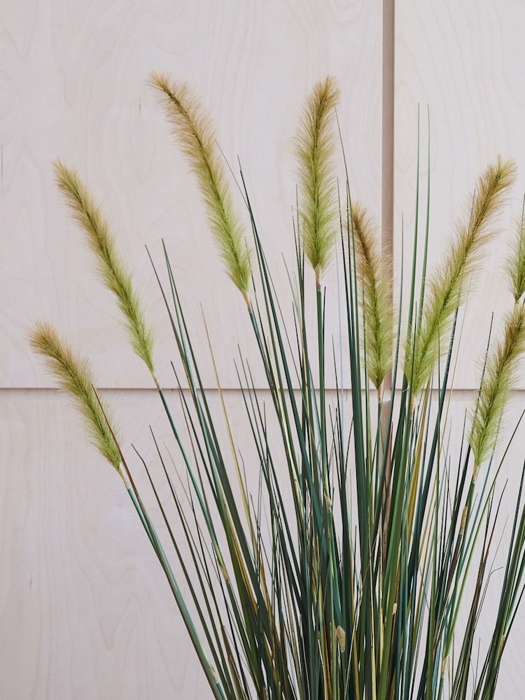 Beards & Daisies Green Artificial Foxtail Grass - Image 2 of 3