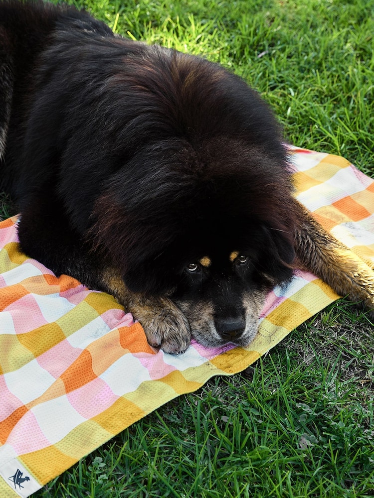 Dock & Bay Quick Dry Towel For Pets - Image 2 of 6