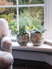 Laura Ashley Set of 2 Cream Marlbrook Planters - Image 1 of 5