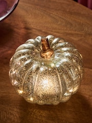 Silver Light Up Glass Pumpkin Decoration - Image 3 of 5